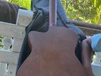 Yamaha FS 100C Guitar