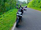 Yamaha FZ FZ-2 2018