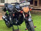 Yamaha FZ 16 V1 2010