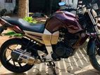 Yamaha FZ V1 2010