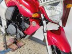 Yamaha FZS V1 2011