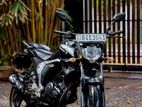 Yamaha FZ V2 2019