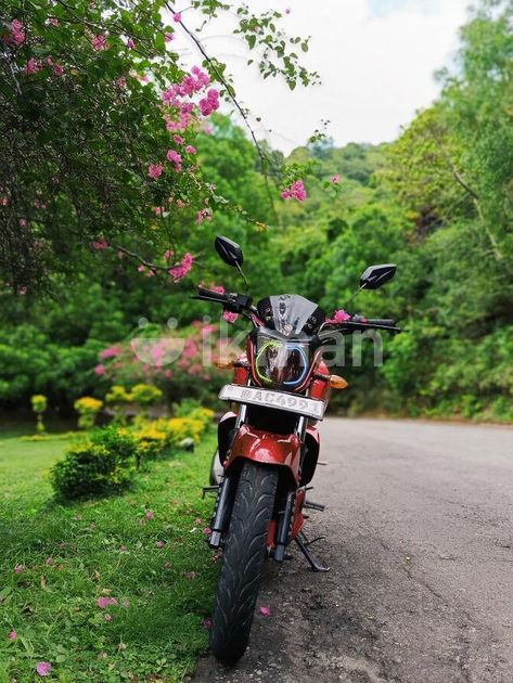 Yamaha FZS V1 2013 for Sale in Digana | ikman