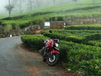Yamaha FZs V2 16 2017