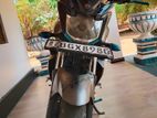 Yamaha FZs V2 2018