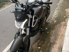 Yamaha Fzs V4 2024