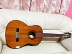 Yamaha G 225 Classical Box Guitar