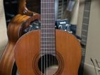 Yamaha G-55A Japan Classical Guitar