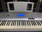 Yamaha Grand Dgx 500