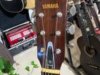 Yamaha Japan Acoustic Guitar