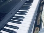 Yamaha Japanese Piano