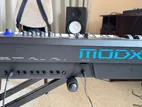 Yamaha MODX8+