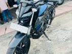 Yamaha MT 15 2019