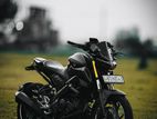 Yamaha MT 15 2020
