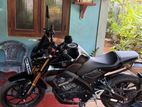 Yamaha MT 15 2025