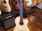 Yamaha NCX700C Classical Cutaway - Natura Solid Spruce Top Guitar