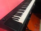 Yamaha NP - 11 Digital Piano Keyboard