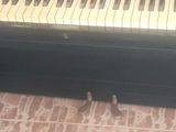 Yamaha Piano 100