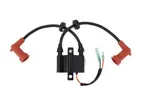 Yamaha Boat Plug Coil