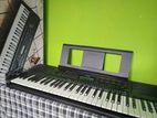 Yamaha PSR-E273