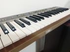 Yamaha PSR25