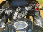 Yamaha R15 2019