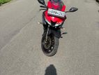 Yamaha R15 2024