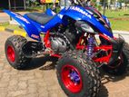 Yamaha Raptor 350 ATV 2008