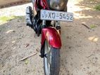 Yamaha SZR 2013