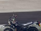 Yamaha TW 2011