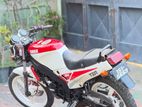 Yamaha TZR 3TY Double Disk 1996