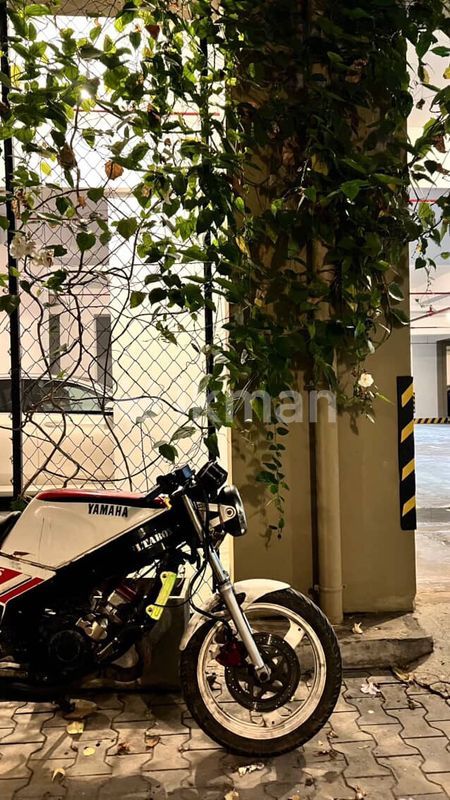 Yamaha TZR 1994 විකිණීමට දෙහිවල ikman