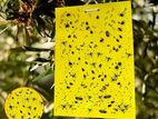 Yello Sticky Trap