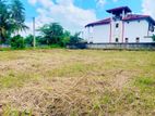 යක්කල ගල්තොටමුල්ල පාරෙන් වටිනා බිම් කොටස් විකිණීමට