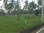 යක්කල ගමිපහ පාරට මුහුණලා බිම්කොටස්