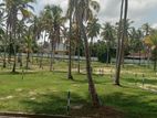 යක්කල ඉඩමක් විකිණීමට