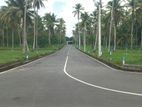 යක්කල කිරිදිවැල බස් පාරෙන් ඉඩමක්
