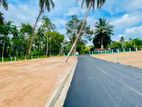 යක්කල කලගෙඩිහේන අවටින් හොද බිම් කොටසක්