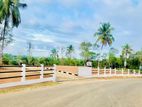 යක්කල Lyceum පාසලට අසන්නයෙන් කලගෙඩිහේනෙන් 10p අගනා ඉඩමක් විකිණීමට ඇත