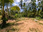 🏡✨ යක්කල නෙල්ලිගහමුලින් වටිනා ඉඩමක් / UP 12441