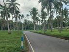 යක්කල නගරයෙන්ම සුපිරි බිම් කොටස්