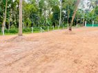 යක්කල නගරයට ආසන්නයෙන් කොළඹ නුවර ප්‍රධාන පාරට නුදුරින් ඉඩමක්