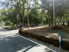 යක්කල නගයේ හොඳ තැනින් බිම් කොටස්