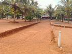 Your Dream Land Awaits – Homagama