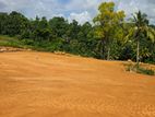 Your Land in Pasyala (Lot No 85)