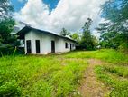 (YS-1061) Valuable Single Storey House Sale in Homagama