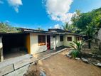 (YS-1131) Valuable Single Storey House Sale in Kottawa