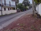 (Z115) Ground Floor House For Rent In Dehiwala