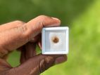 Zircon Yellowish Brown