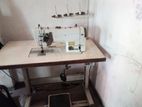 Zoje Double Needle Sewing Machine